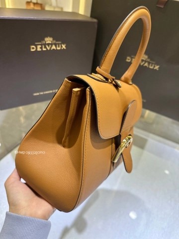 Delvaux Brillant PM 로데오 송아지 가죽 베지탈
